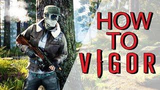 How To Vigor - What is vigor - Starters guide to Vigor