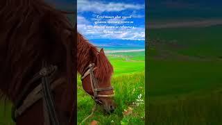 Nature of Kyrgyzstan