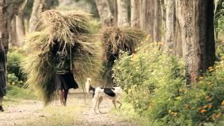 Paganel in Papua