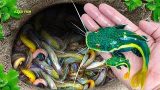 Catch Strange Colorful Koi Fish In Surprise Eggs, Turtle, Glass Fish, Ranchu Fish, Pingpong Fish