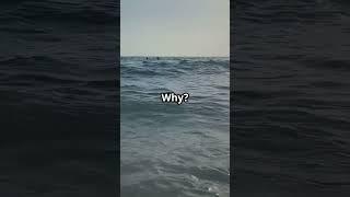 Why is Sea Water Salty?