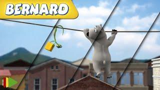 ‍️ BERNARD  | Collection 32 | Full Episodes | VIDEOS and CARTOONS FOR KIDS