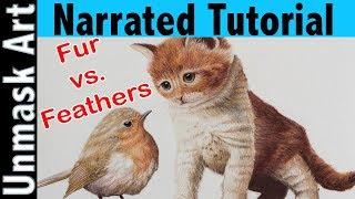 How to Color Fur & Feathers with Colored Pencils | Narrated Tutorial