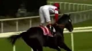 2005 Dubai World Cup - Roses In May