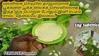 Excellent Fertilizer for Jasmine  Plant/It is an alternative to Epsom salt/Home Made/No Cost