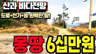 몽땅 다 갖춘 땅이 참 ~놀라운 가격 몽땅 6십만원,  속는 셈 치고 영상 한번 보세요~~