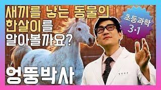 새끼를 낳는 동물의 한살이를 알아볼까요? 초등3학년 과학, 실험, 인강