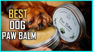 Top 5 Best Dog Paw Balm for Slipping/Snow/Summer/Hyperkeratosis/Winter & Allergies [Review 2023]