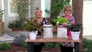 Girl Next Door Polyresin Faux Vintage Flour Sack Planter on QVC