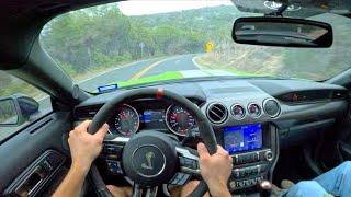 2020 Ford Mustang Shelby GT350R - POV Driving