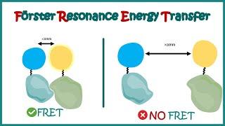 FRET | Fluorescence (Forster) Resonance Energy Transfer | Application of FRET | Limitation of FRET