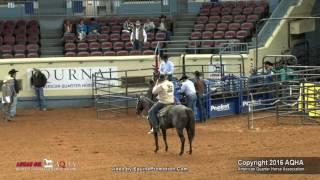 A Judges Perspective: 2016 AQHA Senior Tie-Down Roping