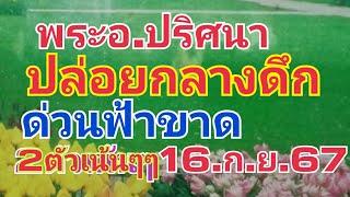 พระอ.ปริศนา.ปล่อยด่วนๆๆ2ตัวก็รวยได้16.ก.ย.67