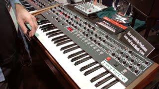 Sequential Prophet-6 analog polyphonic synthesizer.