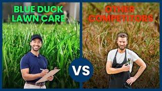 Blue Duck Lawn Care vs the Competitors Lawn