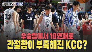 10연패 KCC, PO 멀어지나? | KBL 순위표 분석 | 2025.03.04. 조손정의 농구