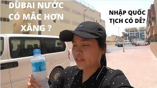 Mua nhà có được nhập quốc tịch DUBAI (UAE)? | Khu dân cư sinh sống tại DUBAI