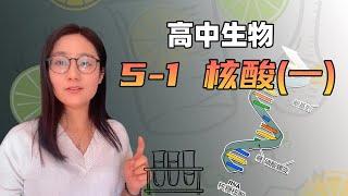 【和淵老師高中生物】5-1 核酸（壹）