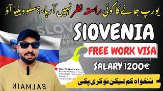 Slovenia Work Permit Visa 2024 | Jobs in Slovenia | Slovenia Free Work Visa |  job seekers visa