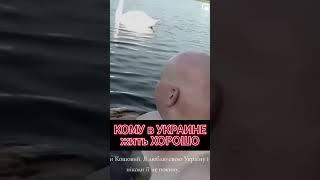 КОМУ в УКРАИНЕ жить ХОРОШО #кошевой #shortsvideo2024 #юмор2024 #пацифист