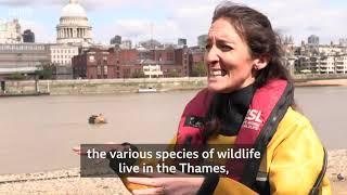 Somewhere Else - Zoological Society of London (ZSL) - Thames VR in BBC News