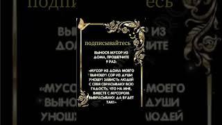 15 июня 2025 г.