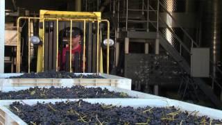 Jordan Kivelstadt, Qualia/Kivelstadt Cellars