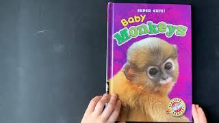 Baby Monkeys by Kari Shuetz AR level 1.2 Quiz #162349