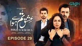 Ishq Tum Se Hua Episode 29 | 2nd June 2025 |  Fahad Sheikh - Sukaina Khan - Hassan Ahmed