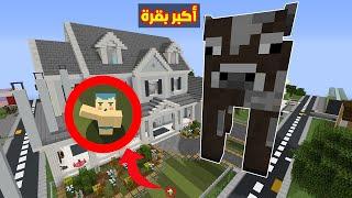 فلم ماين كرافت : زعرور لديه اكبر بقرة في العالم !!؟