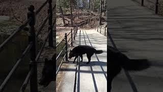 Красота вокруг нас..