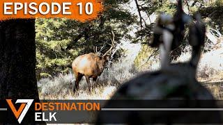 Everyone Eats Today - Episode 10 (Destination Elk V7)