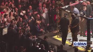 Jon Jones gives Trump his champ belt to after winning UFC 309 fight Madison Square Garden 11-17-2024