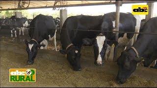 Abc Rural: Producción de leche en Campo 9