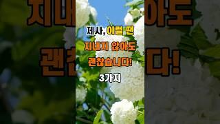 '제사, 이럴 땐 지내지 않아도 괜찮습니다 3가지'  #명언 #좋은글 #건강 #지혜 #인생조언 #50代  #60代  #70代