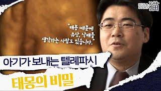 부와 명예를 잡은 스타들의 태몽은? 태몽 풀이로 알아보는 내 아이의 성별 | 리얼스토리묘 | CJ ENM 070107 방송