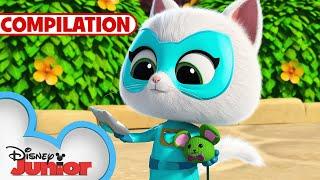 Bitsy's Vlogs | Compilation | SuperKitties | @disneyjr