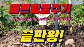 PET bottle watering / PET bottle irrigation / PET bottle drip irrigation