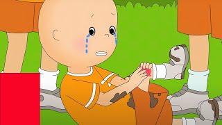 Red Card | Caillou Cartoon