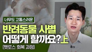 사랑하는 반려동물과 사별하게 되었다면 이렇게 대처해보세요. 1,2단계(4단계 中). 펫로스증후군