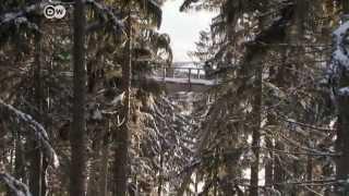 Bayerischer Wald - Wintersport, Natur und Handwerkstradition | Hin & weg