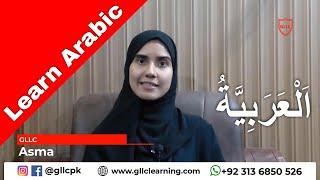 Learn Arabic Beginners Course | Live and Online | Arabic Language Course with Asma GLLC Languages