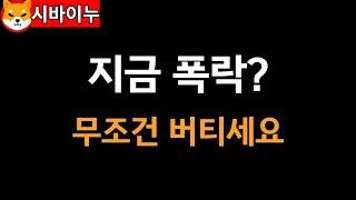 [ 시바이누 SHIB ] 지금 폭락? 제발 버티세요