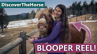 DiscoverTheHorse Funny Blooper Reel!!!