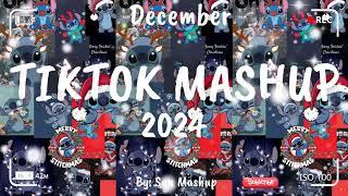 Tiktok Mashup December 2024 (Not Clean)