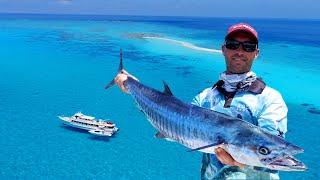 Fishing on Bugatti Reef || Josh the tradie WINS trip of a lifetime