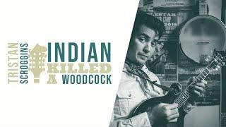 Indian Killed a Woodcock // Mandolin // Tristan Scroggins