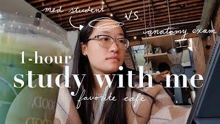 Study With Me | 1-HOUR real-time | lively cafe background noise