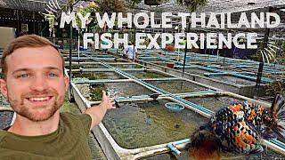 THAILAND fish EXPEDITION | FULL MOVIE