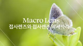 필름사진입문 24 접사렌즈(Macro Lens)